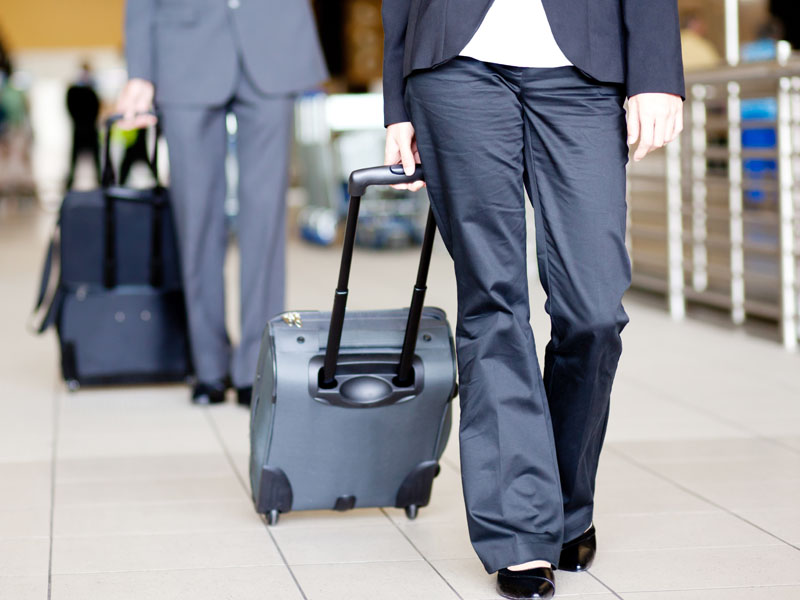 Sed blandit massa vel