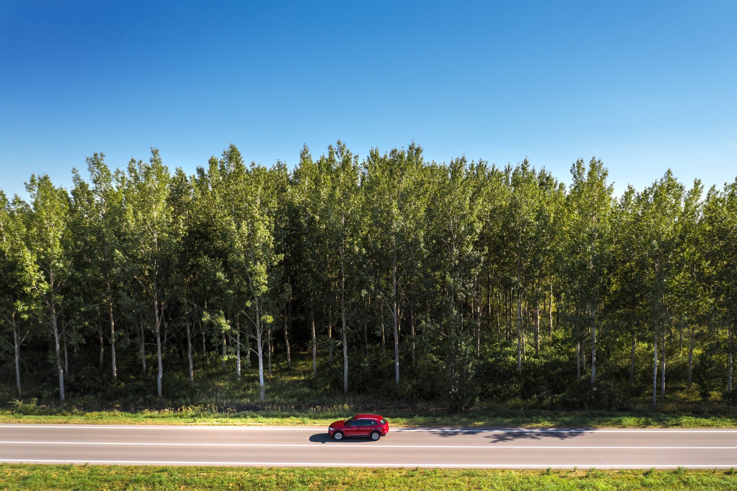 airport car rental MN